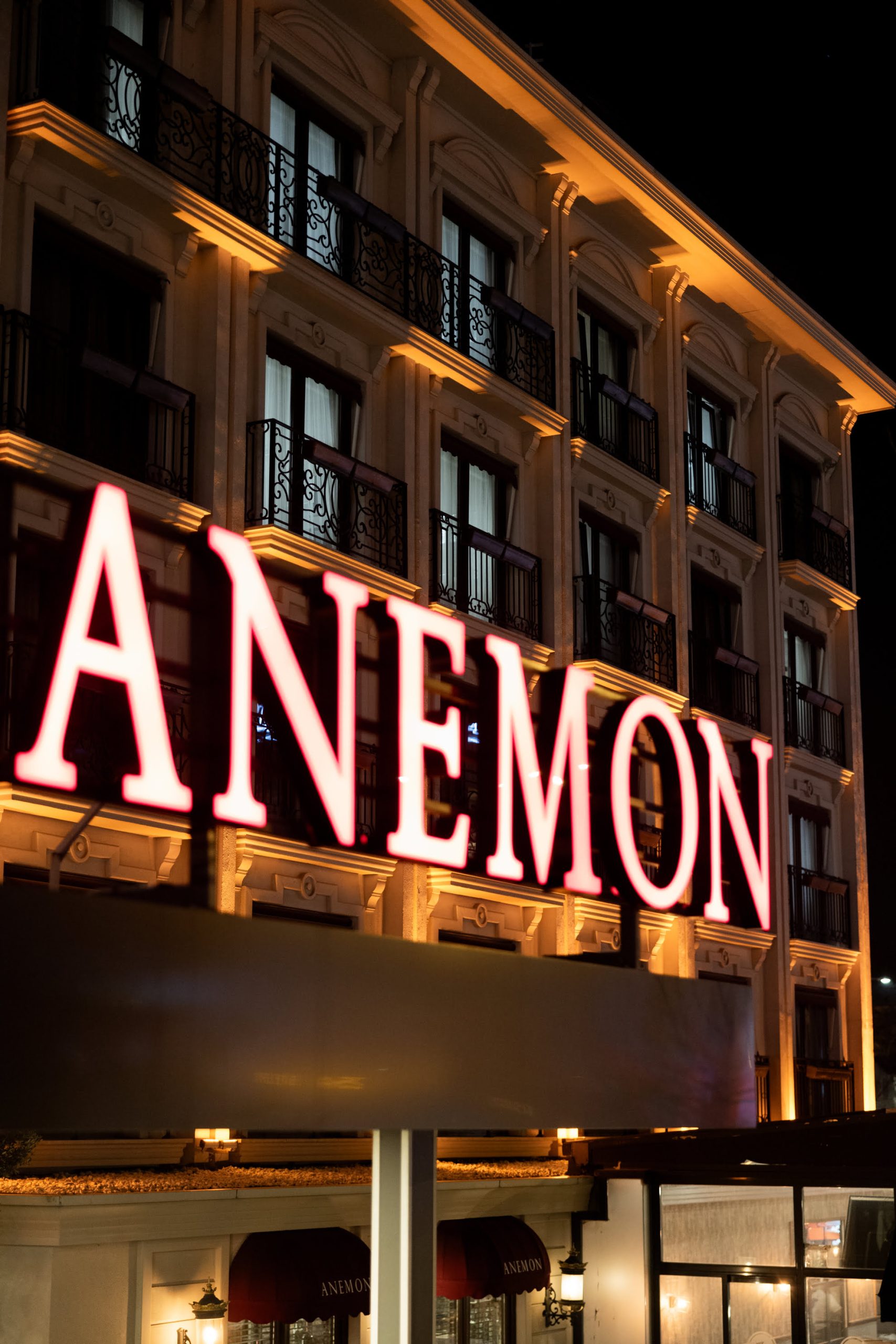 Anemon Farkı 