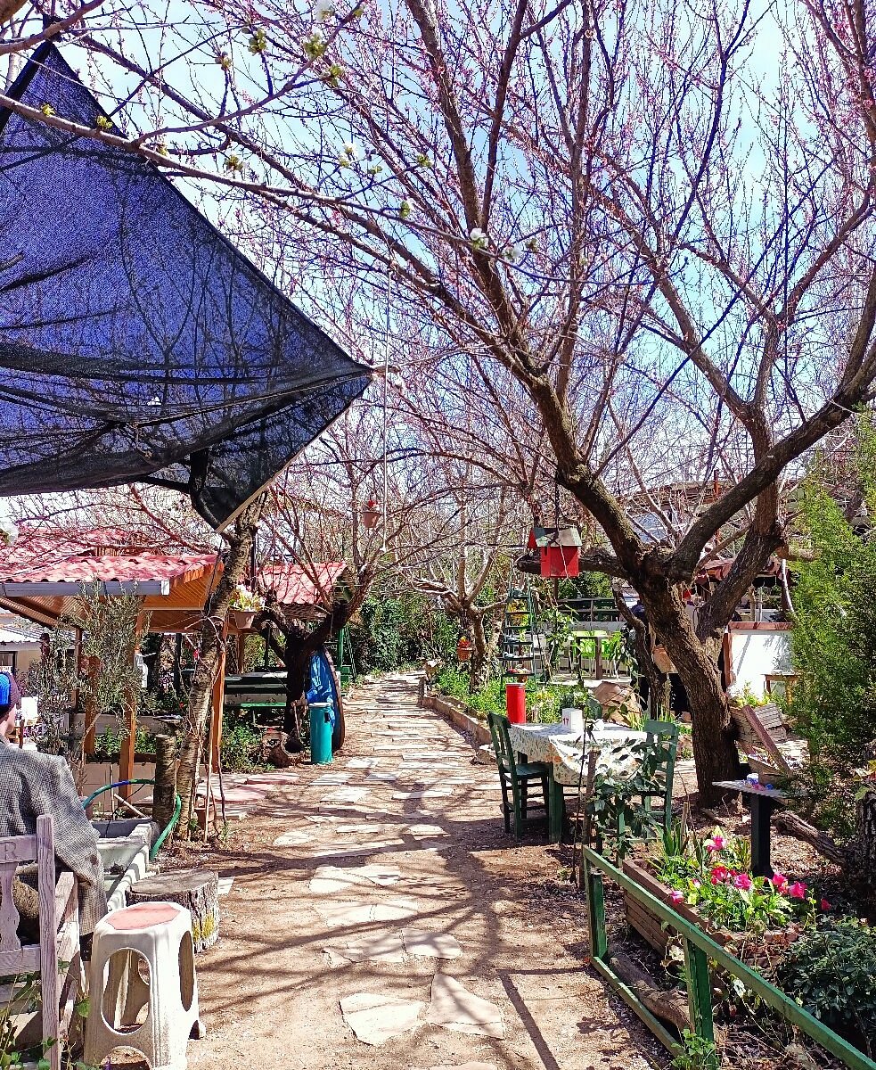 Nazarköy