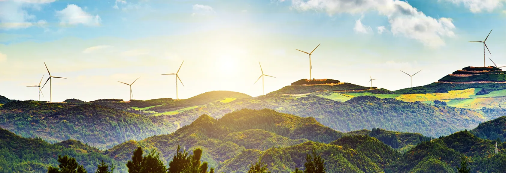 Energy Efficiency Policy