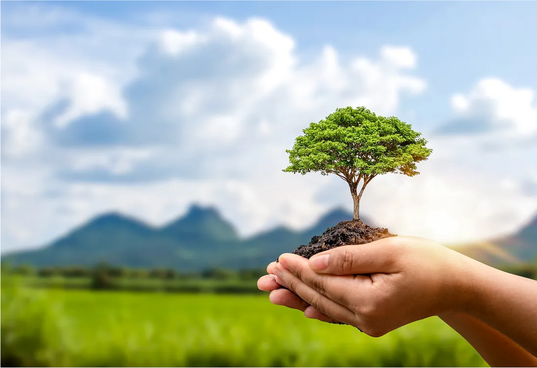 Our Sustainability Differences